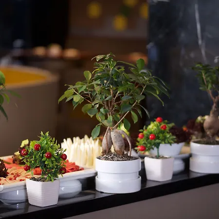 伊斯坦布尔博蒙蒂宜必思尚品酒店 酒店 4*