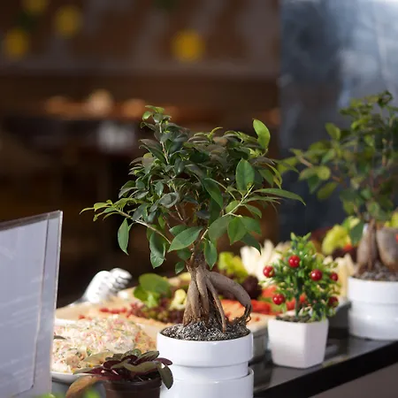 Ibis Styles Bomonti 4* 이스탄불